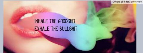 OnlyFans Header Bild aariade