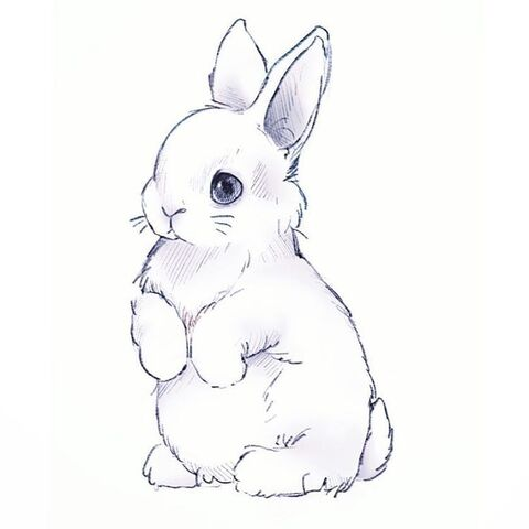 Gambar header OnlyFans abbunny