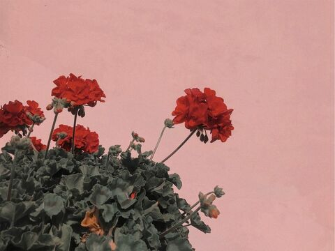 OnlyFans हेडर चित्र abigailkxo