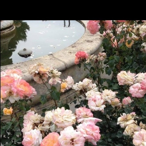 صورة رأس OnlyFans advaa