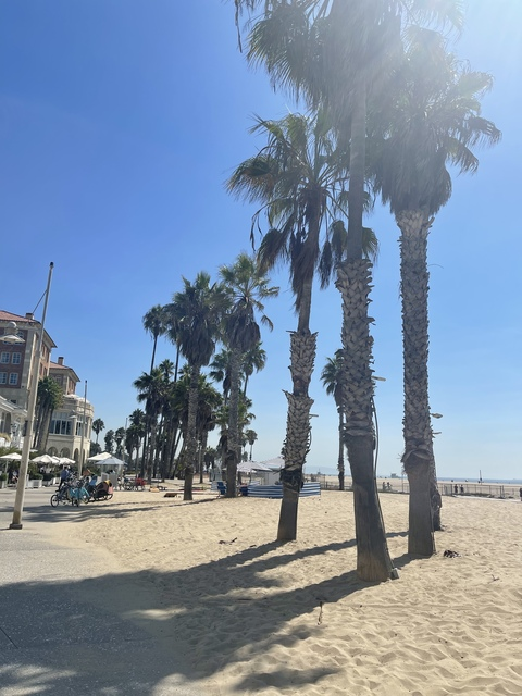 AlleenFans kopafbeelding adventureswithwynter