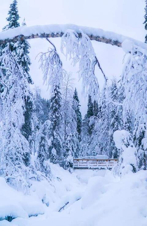 Снимка на заглавието на OnlyFans afterhoursd