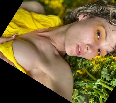 Immagine dell'intestazione OnlyFans ahanureed