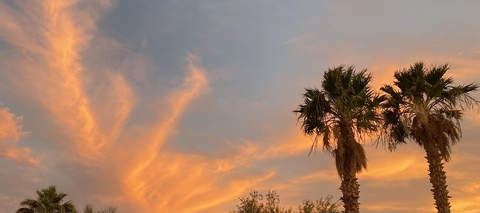 오직 팬들만 볼 수 있는 alexandrabiancaaa의 헤더 사진