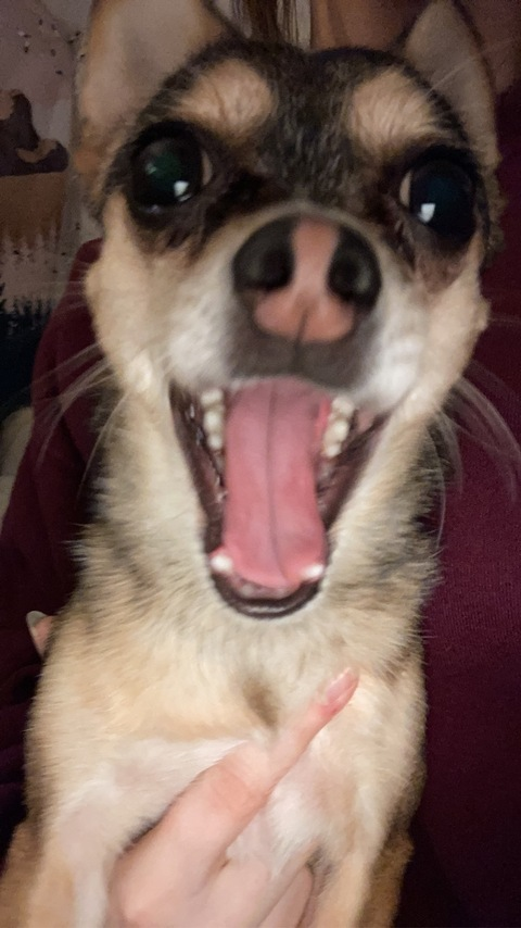 OnlyFans header picture alicekay