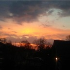 Профилна снимка на OnlyFans за alt_kitten