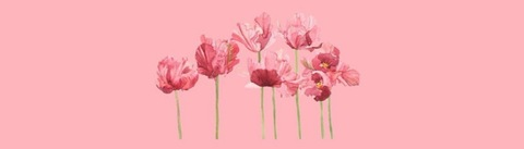 Gambar header OnlyFans alyssa9