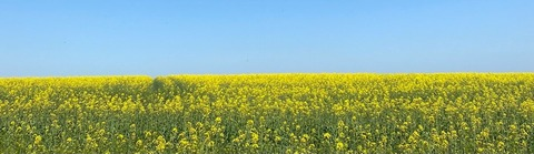 Картинка шапки OnlyFans amarita_franchetti