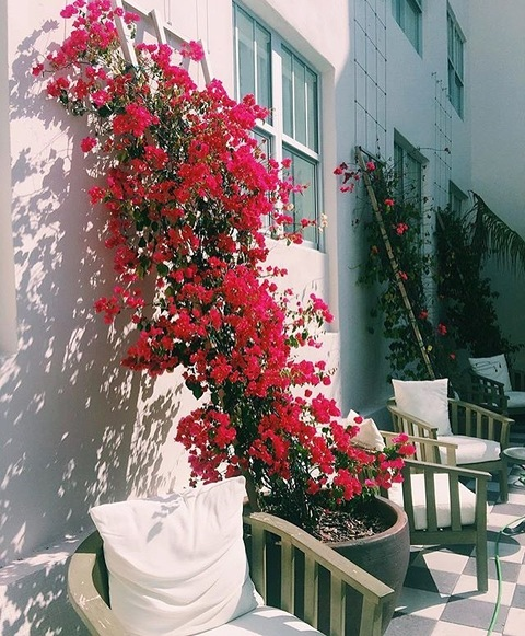 OnlyFans başlık resmi #kullanıcıadı#