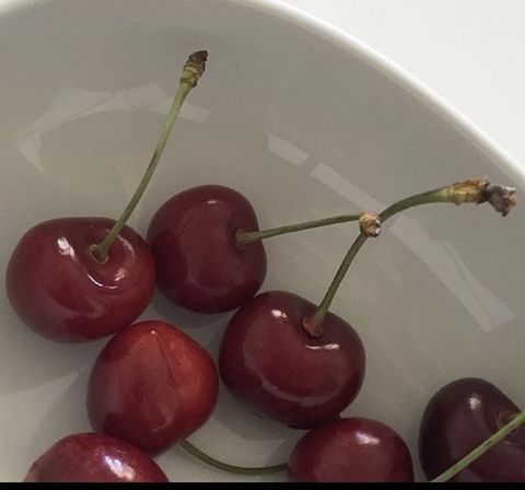 OnlyFans हेडर चित्र anasus