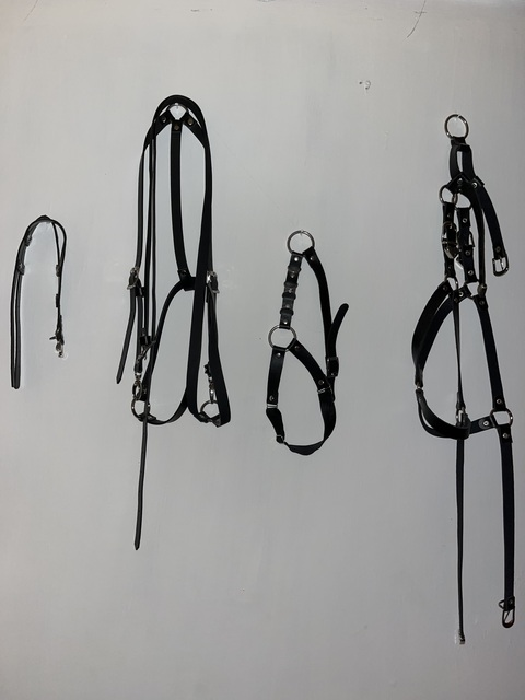 Imagen de encabezado de OnlyFans de andela666