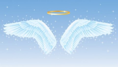 Gambar header OnlyFans ange_lik