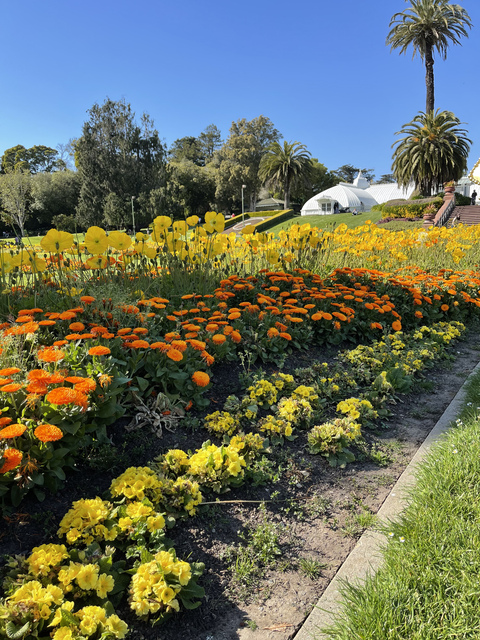 صورة رأس OnlyFans angelllll13