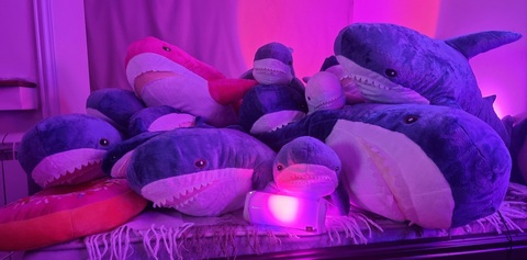 Снимка на заглавието на OnlyFans annie_may_may