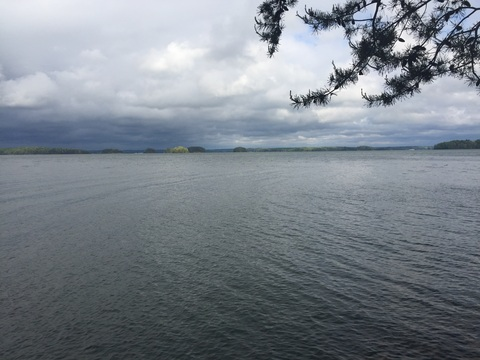 Immagine dell'intestazione OnlyFans anniemolls