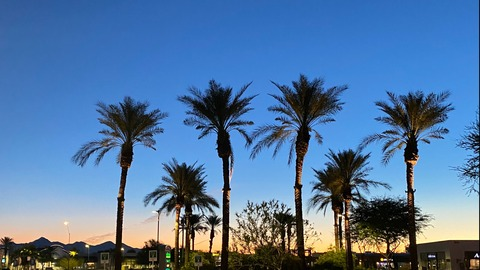 OnlyFans Header Bild anthvny