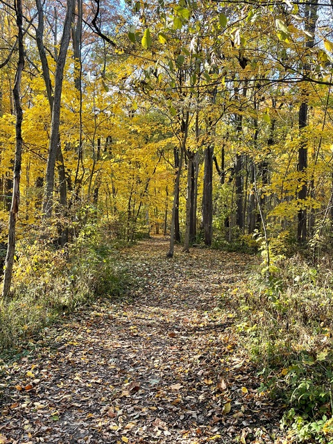 Obraz w nagłówku OnlyFans anyaamsel