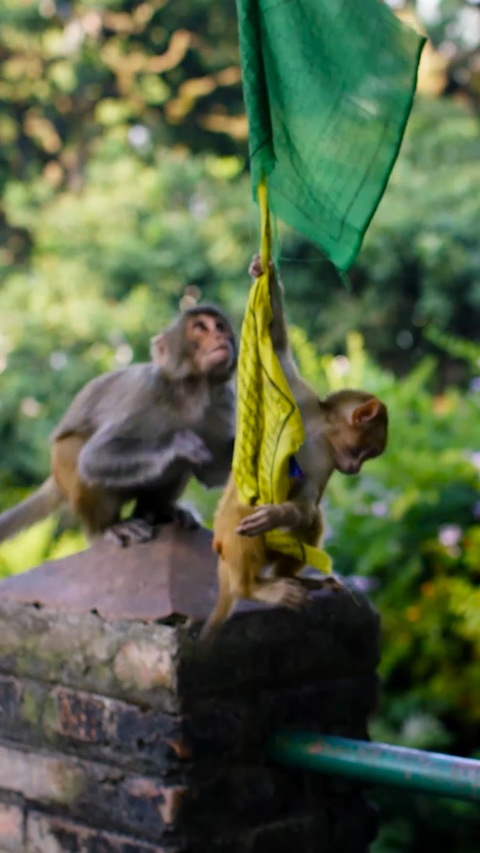 OnlyFans Header Bild as12604