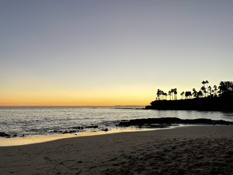 Obraz w nagłówku OnlyFans asapalex11