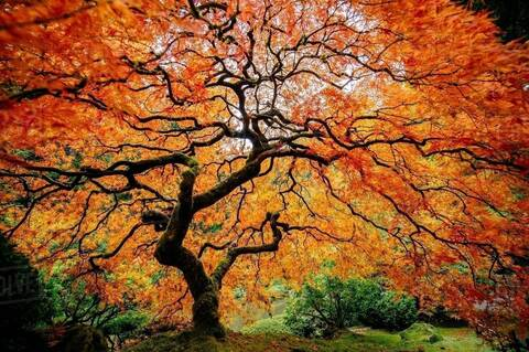 AlleenFans kopafbeelding autie_123