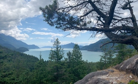 OnlyFans Header Bild avacharleson