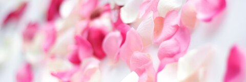 OnlyFans हेडर चित्र azzurra92