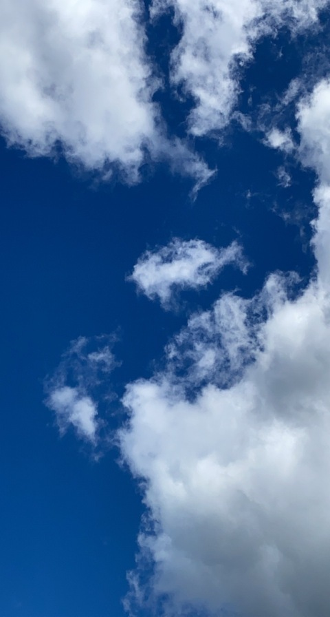 OnlyFans header picture b1gboob13b1tch