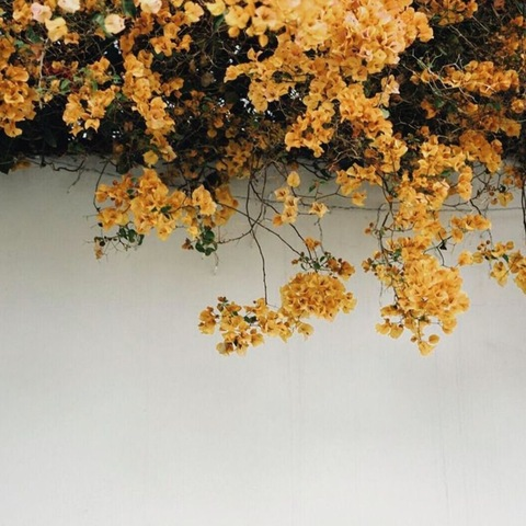 Obraz w nagłówku OnlyFans babycrx