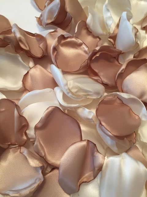 OnlyFansのヘッダー画像 babylyraxxx