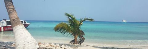 Obraz w nagłówku OnlyFans backspace