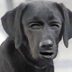 Foto del profilo OnlyFans di baddievirgo