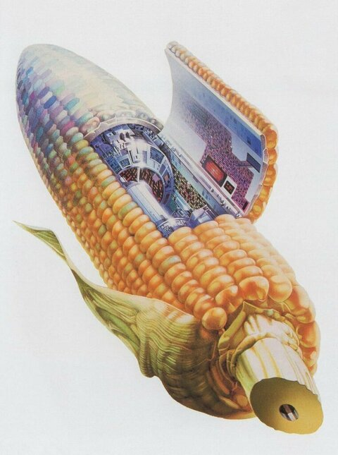 Foto de cabeçalho do OnlyFans banjo_xxl