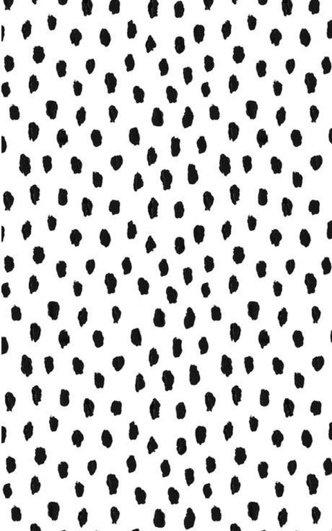 Immagine dell'intestazione OnlyFans bellabella