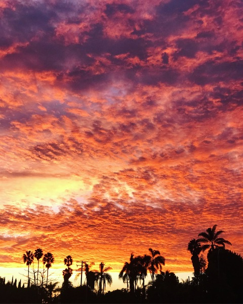 Gambar header OnlyFans bellahstoes