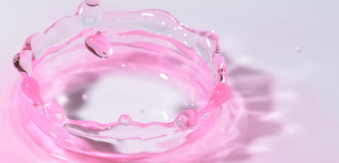 Imagen de encabezado de OnlyFans de berryrollo