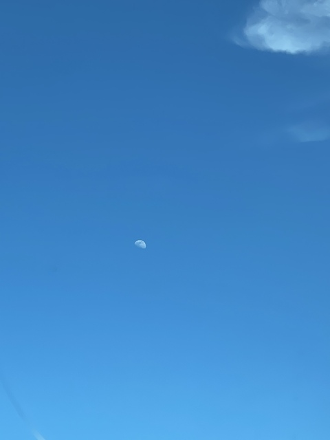 OnlyFans Header Bild bessbreastvip