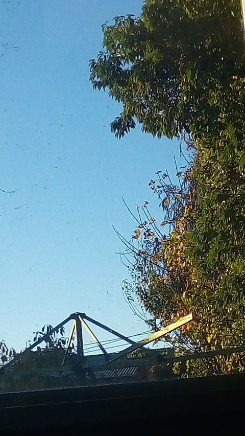 صورة رأس OnlyFans big-dick-josh