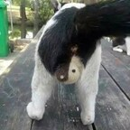 Аватар профиля OnlyFans billbrwnbrwn