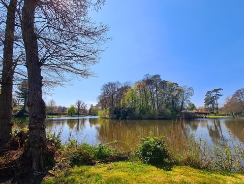 Immagine dell'intestazione OnlyFans bitingthedust3