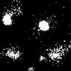 Gambar profil OnlyFans blackbeast