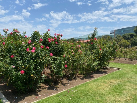 OnlyFans başlık resmi #kullanıcıadı#