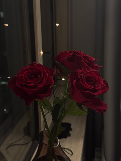 오직 팬들만 볼 수 있는 bluemingforever의 헤더 사진