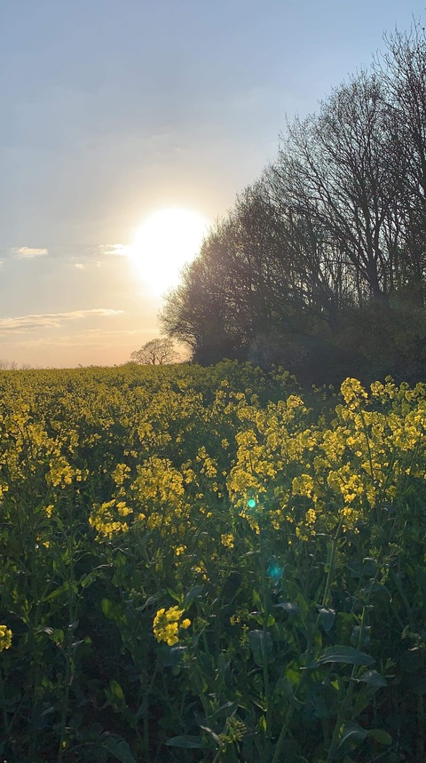 Картинка шапки OnlyFans bobstar247