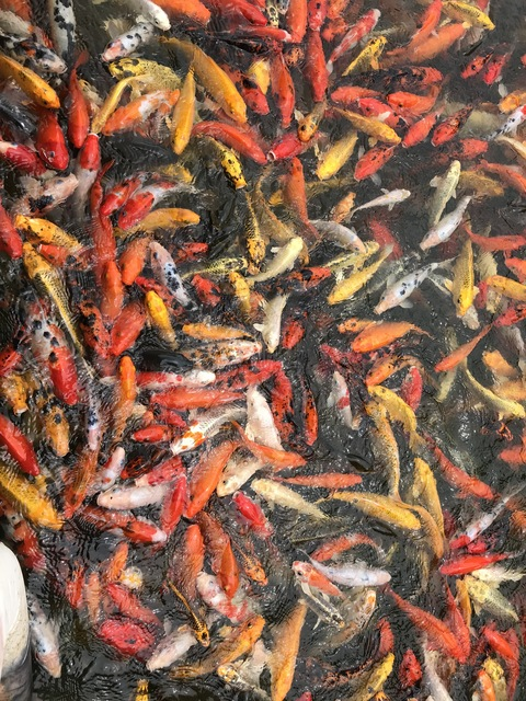 오직 팬들만 볼 수 있는 bodegagremlin의 헤더 사진