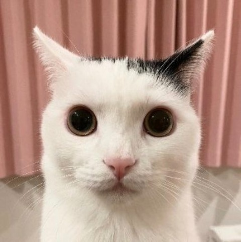 OnlyFans başlık resmi #kullanıcıadı#