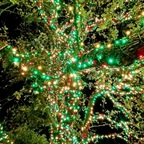 Foto de perfil de OnlyFans de brokengrl