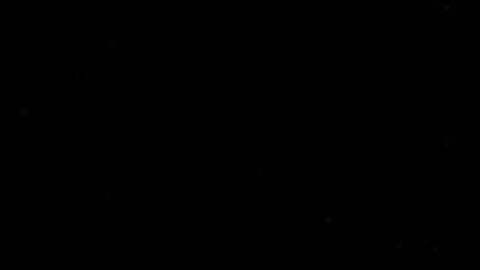 오직 팬들만 볼 수 있는 bunnybina의 헤더 사진