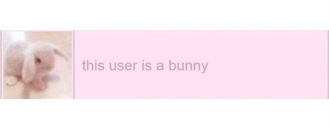 Картинка шапки OnlyFans bunnyloverx