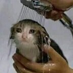 Zdjęcie profilowe na platformie OnlyFans buttholeblunder