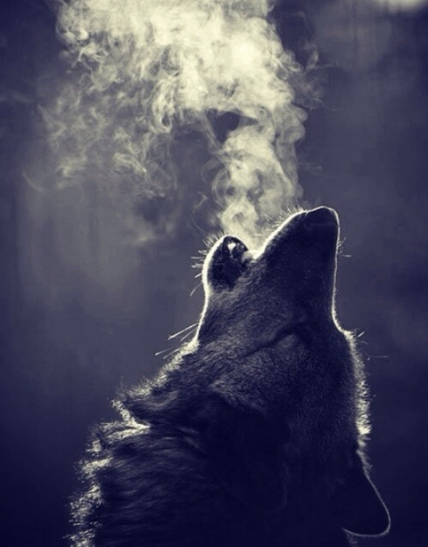 Imagen de encabezado de OnlyFans de carbunnyxx